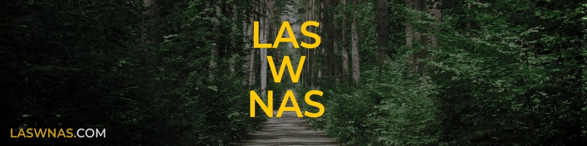 las w nas laswnas.com baner banner magda bębenek piotr horzela