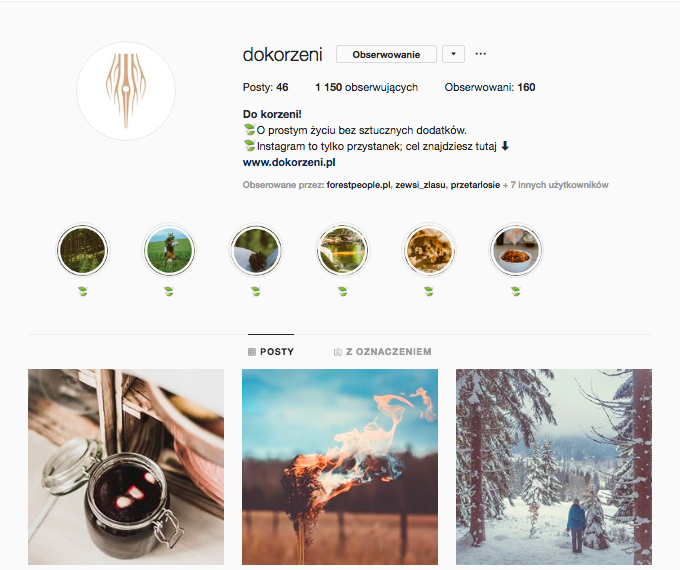 do korzeni dokorzeni.pl inspirujące profile na instagramie las w nas magda bębenek inspiracja
