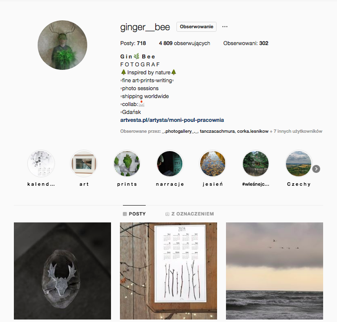 ginger bee inspirujące profile na instagramie las w nas magda bębenek inspiracja