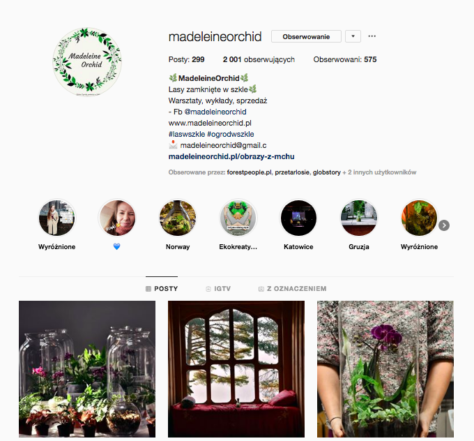 inspirujące profile na instagramie las w nas magda bębenek madeleine orchid las w słoiku