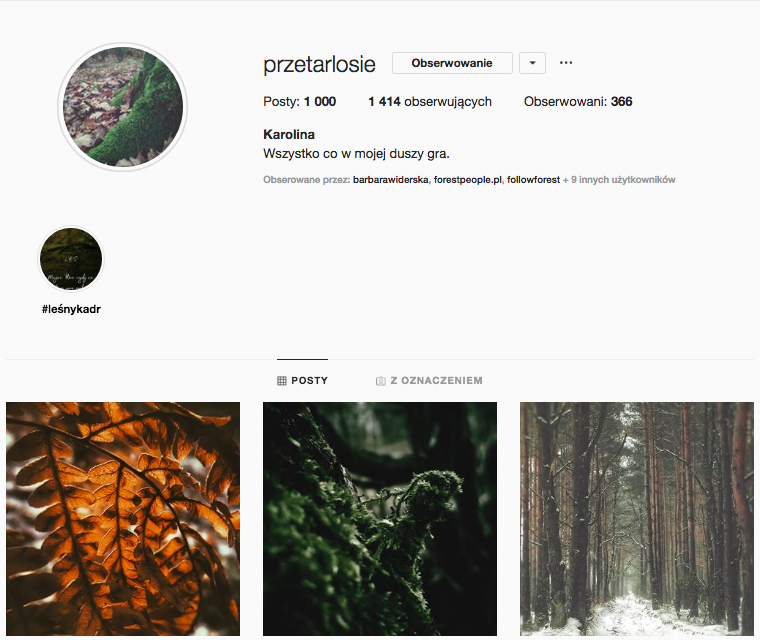 inspirujące profile na instagramie las w nas magda bębenek puszcza knyszyńska przetarlosie